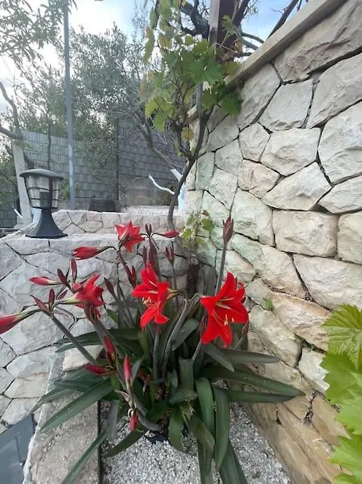 Beachfront Villa With Pool - Myway Trogir Croatia
